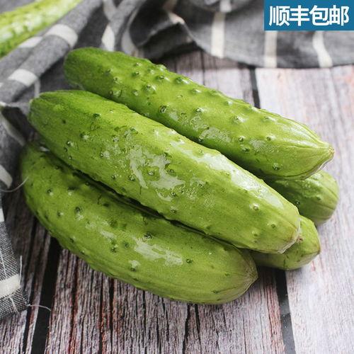 脆瓜黄瓜怎么吃,轻松解锁夏日清新美味