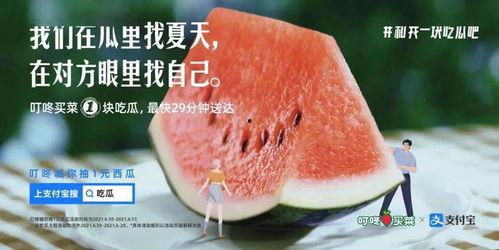 暗中吃瓜的文案,揭秘“暗中吃瓜”背后的真相与趣味