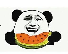 吃瓜群众的老婆,揭秘她的真实生活