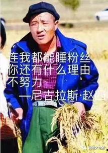 赵四吃瓜视频,揭秘娱乐圈幕后故事