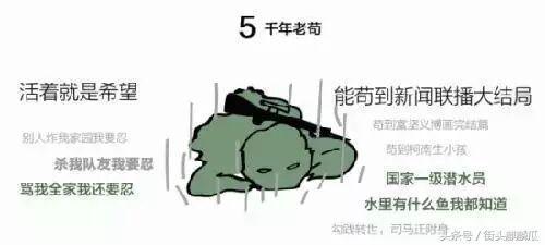 古堡瓜哥带你吃瓜,品味古今瓜果盛宴