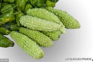 吃凉瓜会失眠吗,凉瓜引发失眠？揭秘夏日消暑美食的潜在影响