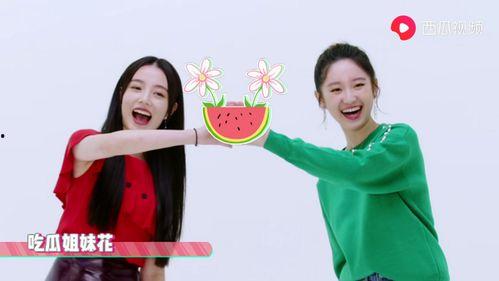 818吃瓜网西瓜视频,揭秘热门瓜事，畅享娱乐盛宴