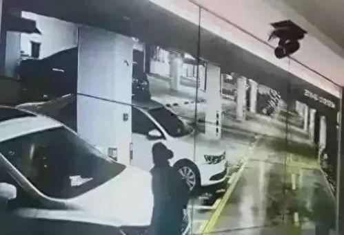 地下车库吃瓜,吃瓜群众的意外发现