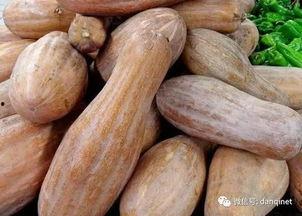 移植可以吃方瓜,探索异域美食的融合与创新