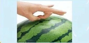 当当在吃瓜,揭秘娱乐圈幕后真相