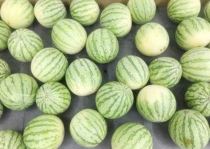 吃瓜的真实下场,揭秘网络舆论的暗面