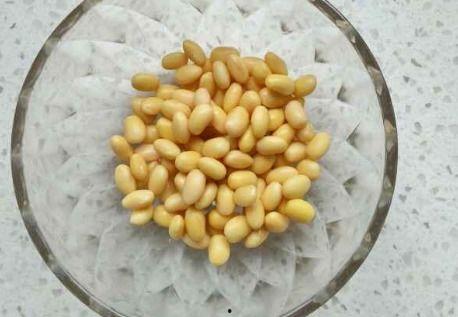 小黄豆吃瓜,小黄豆的瓜田奇遇记