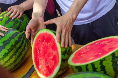 吃瓜免费群,揭秘网络社交新趋势