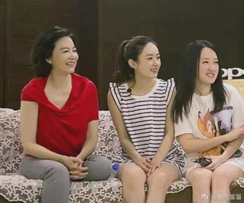 吃瓜离婚女星视频,揭秘吃瓜群众眼中的离婚女星视频风云