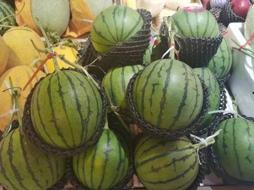 吃瓜小木头,揭秘娱乐圈那些不为人知的幕后故事