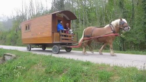 林肯吃瓜,一段历史与幽默的交织