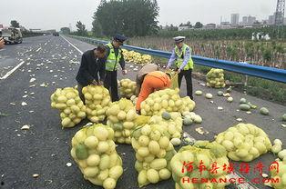 玫瑰爱心吃瓜群众,揭秘网红现象背后的故事