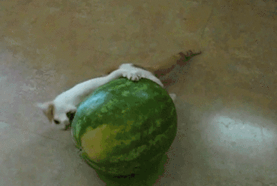 躲角落吃瓜,揭秘隐秘角落里的美食诱惑